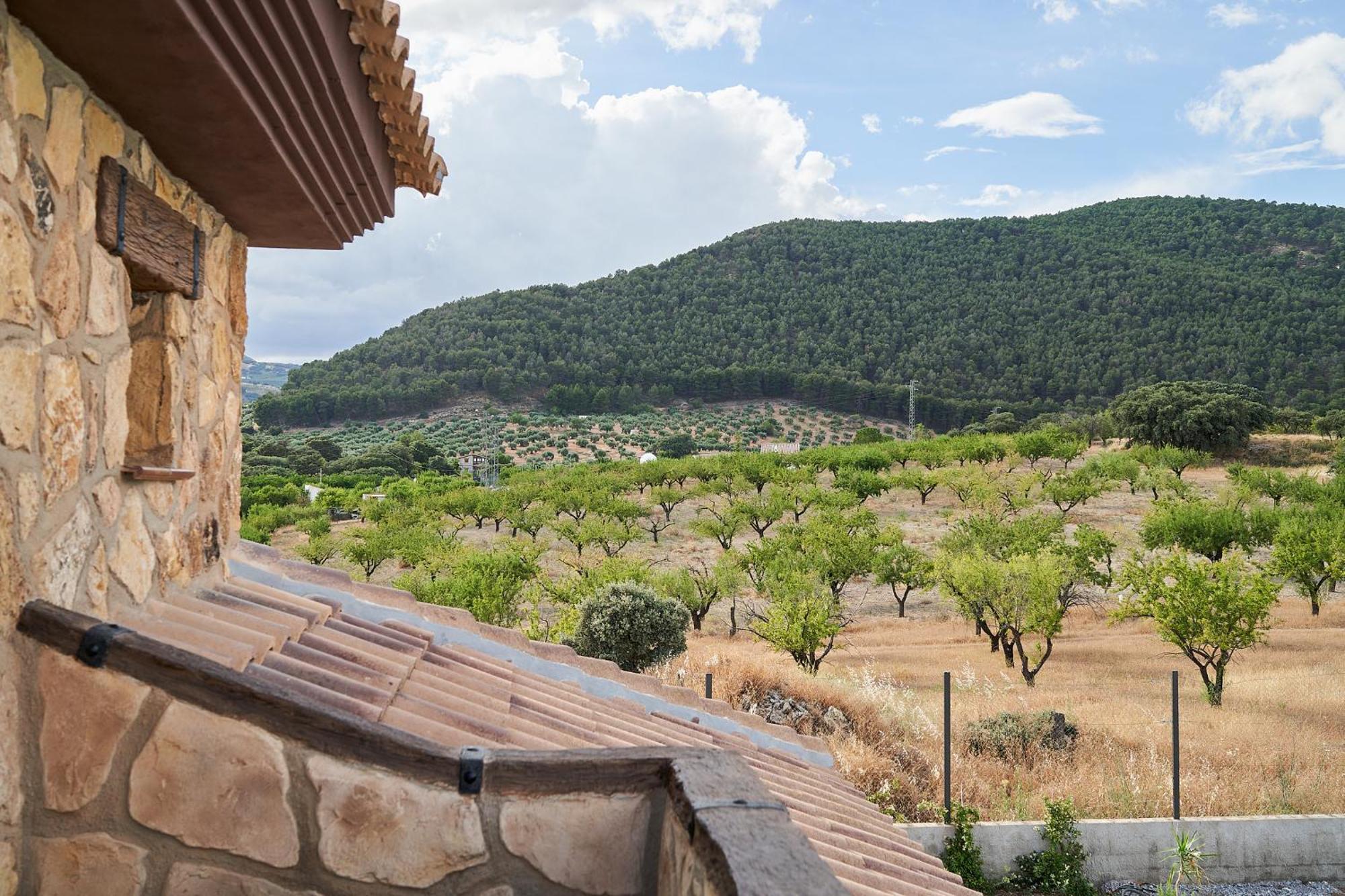 Villa Canela Illora