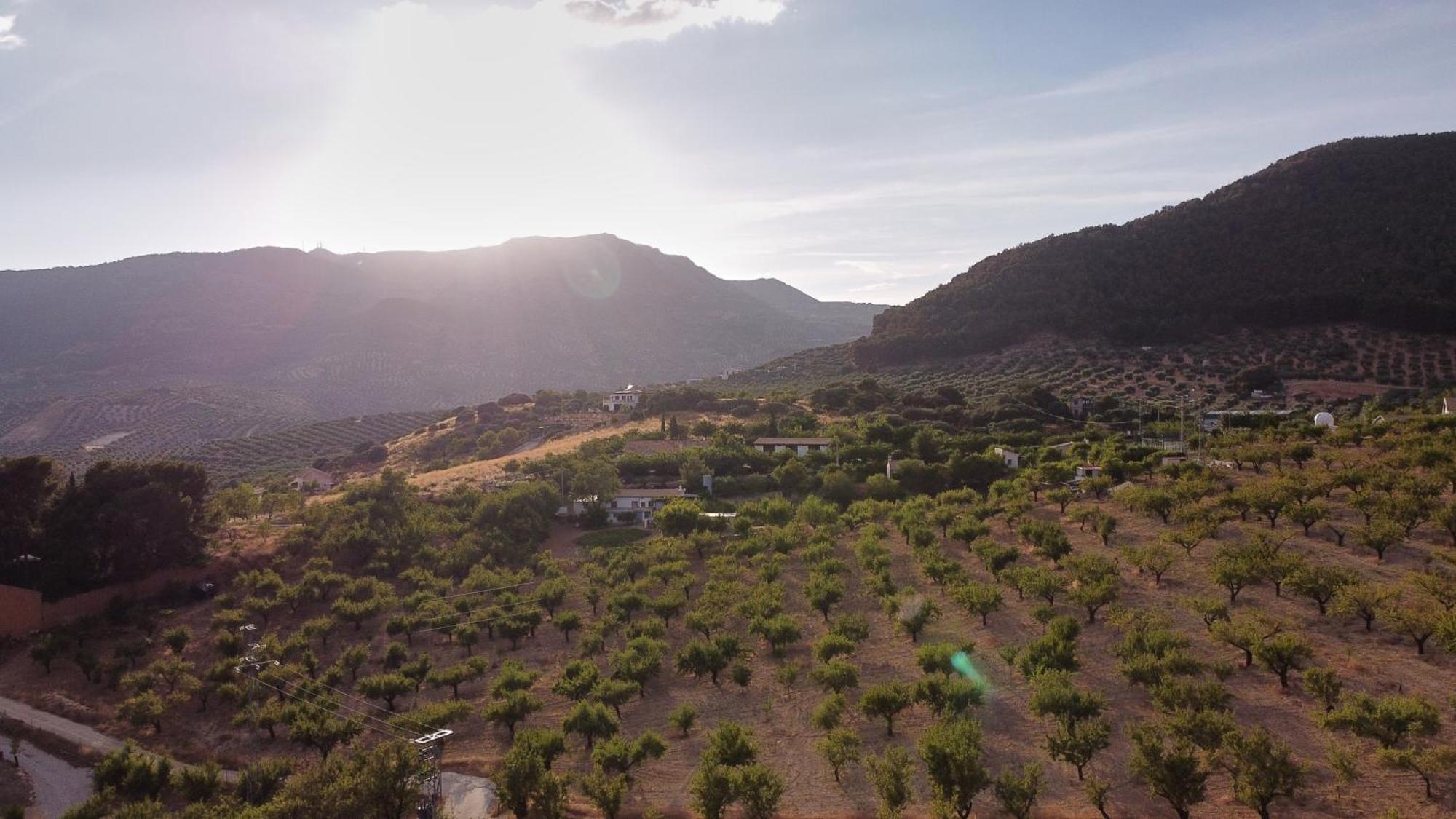Canela Villa *
